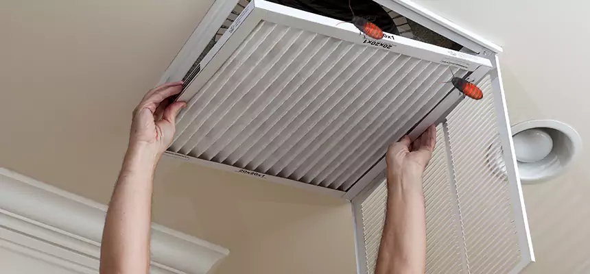 Preventive Cockroach-Proofing for Ducts in Highland Village