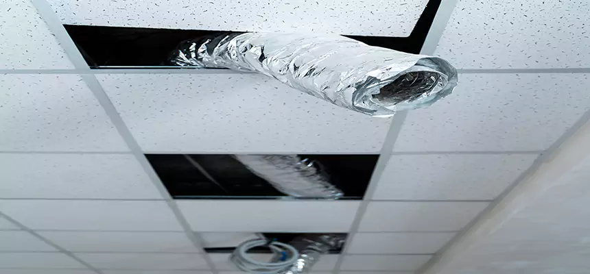 Our Air Duct Pet Hair Removal Services in Highland Village, TX