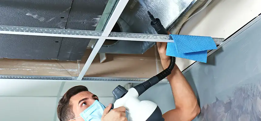 Our Air Duct Rodent Removal Services in Highland Village, TX