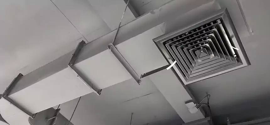 Restorative Allergy Relief Vent Cleaning – Coil, Blower & Housing Detail in Highland Village