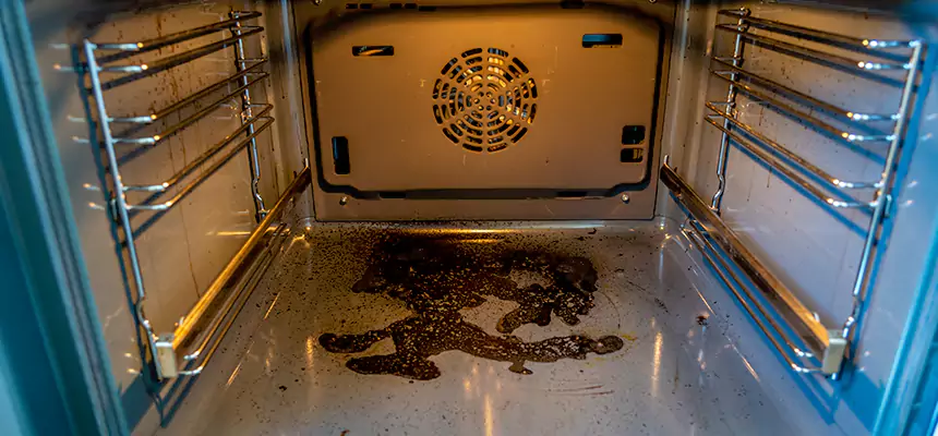 Our Dryer Vent Mold Cleaning Services in Highland Village, TX