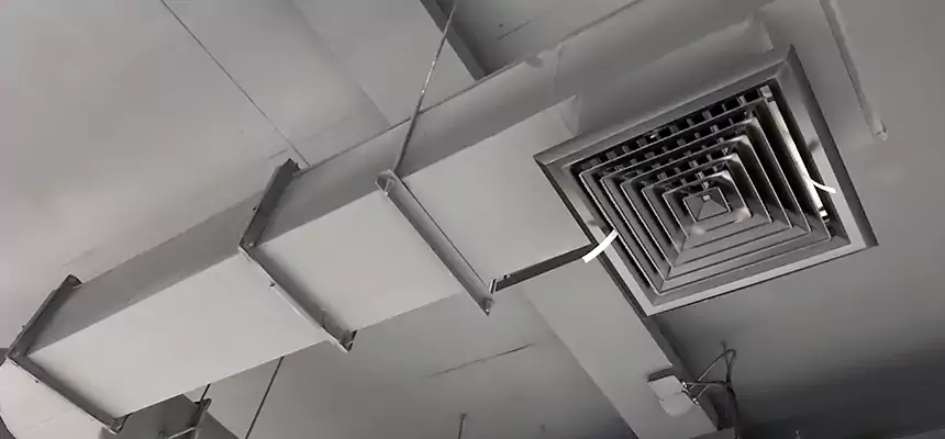 Our Pest Removal From Ducts Services in Highland Village, TX