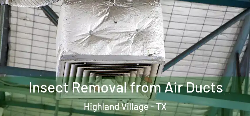  Insect Removal from Air Ducts Highland Village - TX