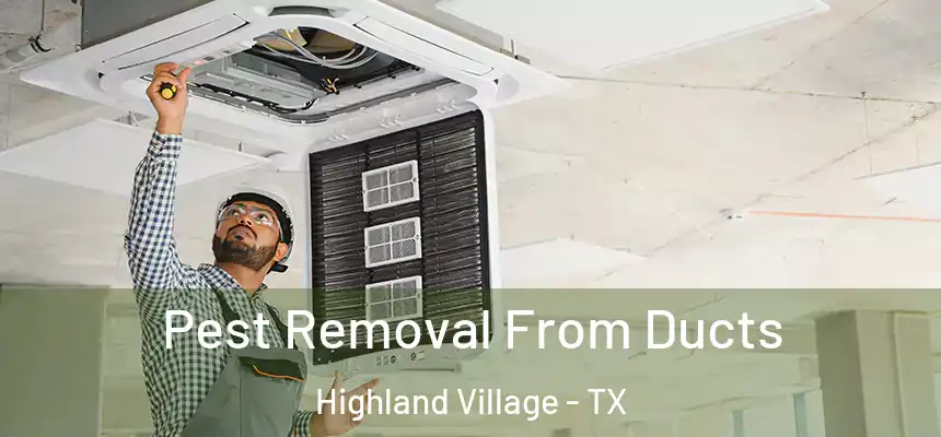 Pest Removal From Ducts Highland Village - TX