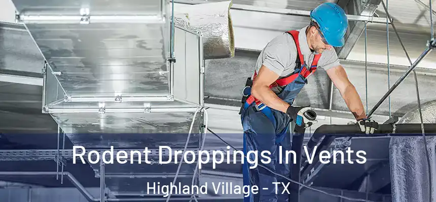  Rodent Droppings In Vents Highland Village - TX