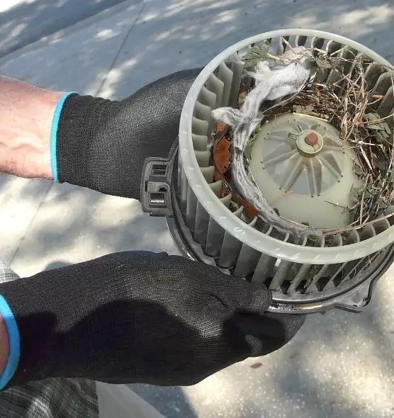 About Air Duct Rat Removal in Highland Village, TX